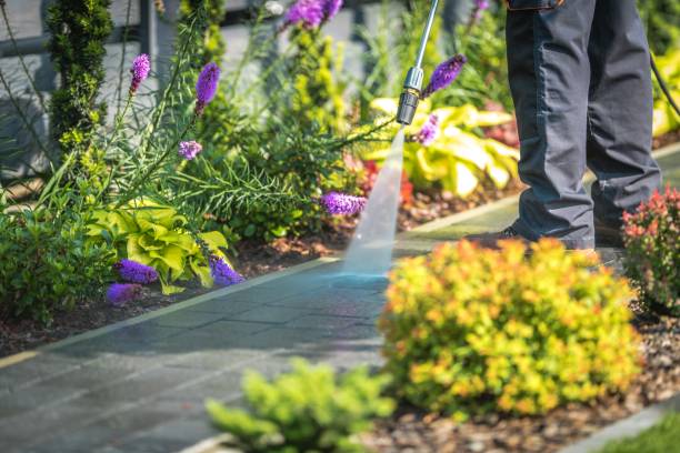 Best Sidewalk and Walkway Cleaning  in Four Bridges, OH